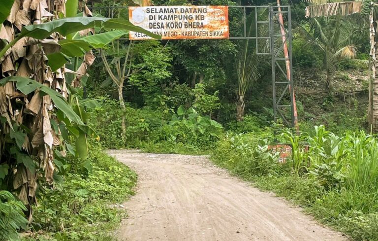 Menagih Janji “Akses Pusat”: Satu Tahun Kepemimpinan Bupati Sikka Disorot Diaspora