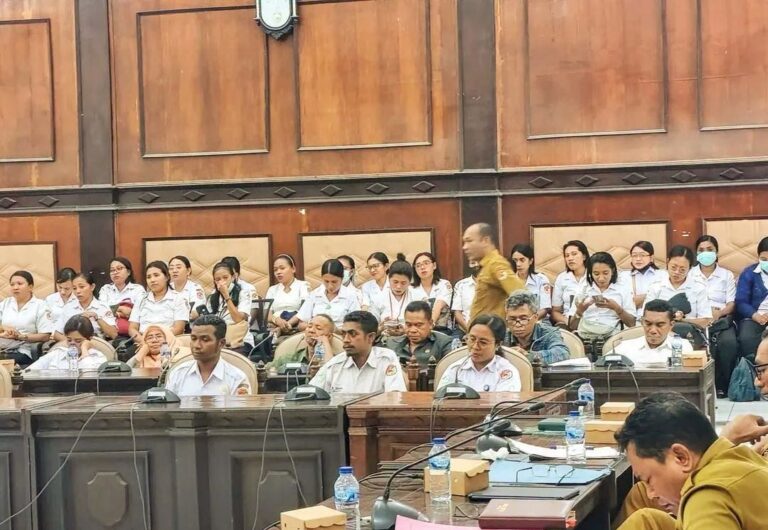 Nakes Soroti Rencana Gaji Rp600 Ribu PPPK Paruh Waktu di Sikka, Minta Bupati Segera Batalkan Kebijakan