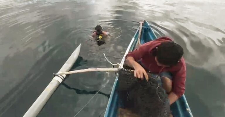 317 Ekor Ikan Buabua dan 16 Ekor Pogo Jadi BB Kasus Bom Ikan di Perairan Sikka