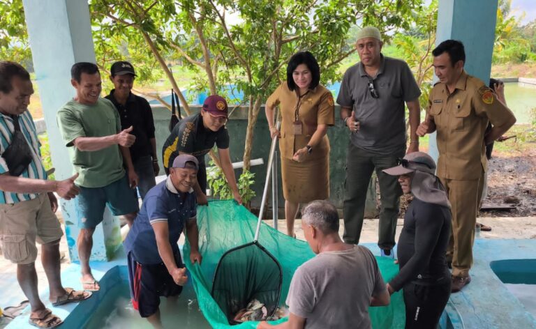 BBIS Noekele Bangkitkan Budidaya Air Tawar NTT, Ratusan Kilo Nila Mulai Serbu Pasar Kupang