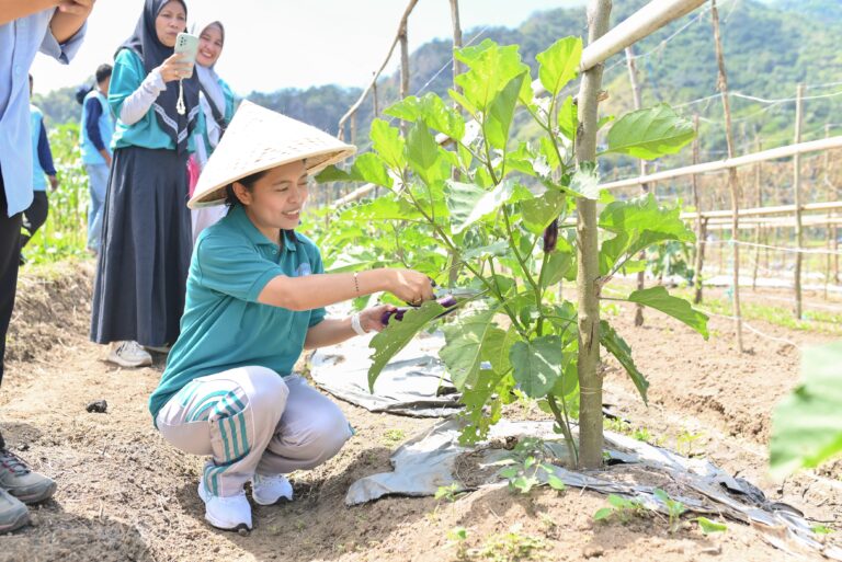 Tak Sekadar Panen, Ny. Fista Kago Bangkitkan Optimisme Petani Milenial untuk Masa Depan Ketahanan Pangan Sikka